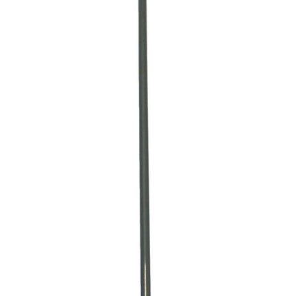 Palmyra Push Broom with Handle - 4024 - Bci